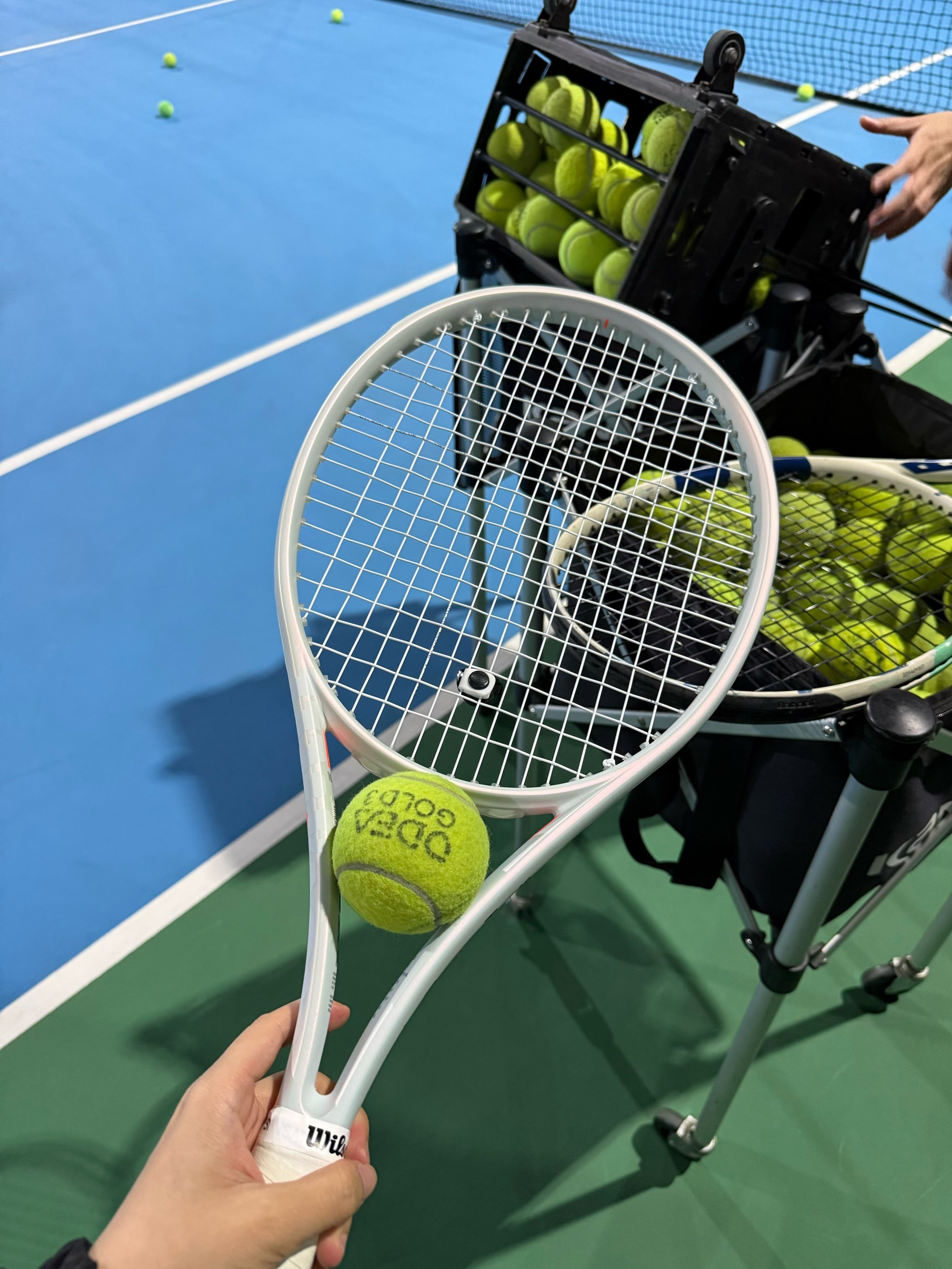 的传球和敏 的传球和敏