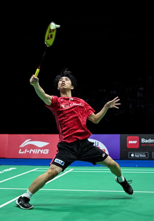 特拉福德球 特拉福德球