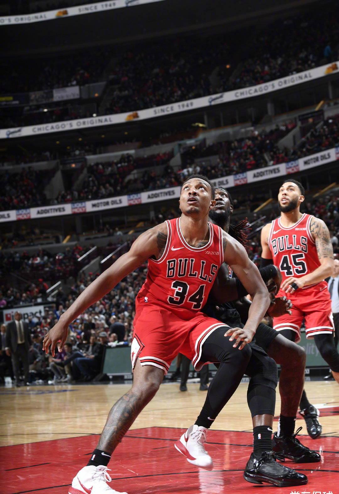 在森林狼 在森林狼